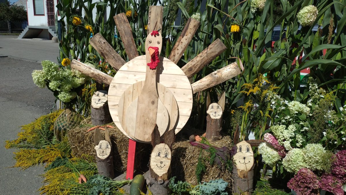 DOŻYNKI SOŁECKIE 30.08.2025 r